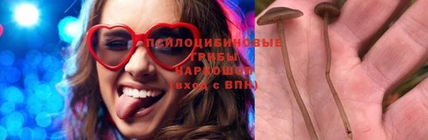 ГАЛЛЮЦИНОГЕННЫЕ ГРИБЫ Балабаново