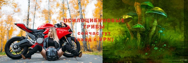 ГАЛЛЮЦИНОГЕННЫЕ ГРИБЫ Балабаново
