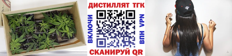 ТГК вейп OMG Биробиджан